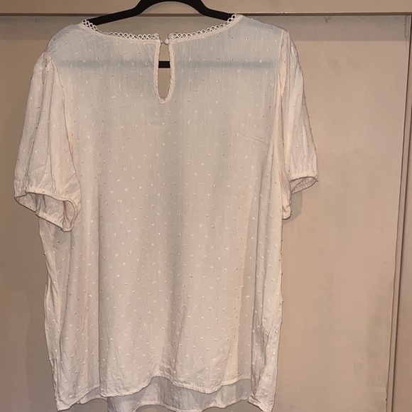 Flower & Feather cream cap sleeved Top size 3XL - Picture 8 of 8